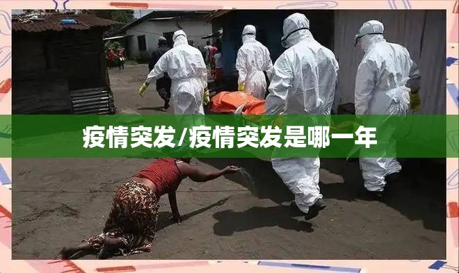 疫情突发/疫情突发是哪一年 疫情突发/疫情突发是哪一年