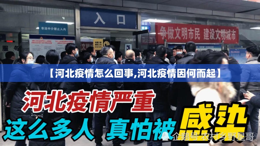 【河北疫情怎么回事,河北疫情因何而起】 【河北疫情怎么回事,河北疫情因何而起】
