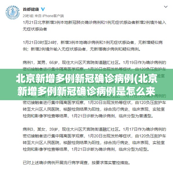 北京新增多例新冠确诊病例(北京新增多例新冠确诊病例是怎么来的) 北京新增多例新冠确诊病例(北京新增多例新冠确诊病例是怎么来的)