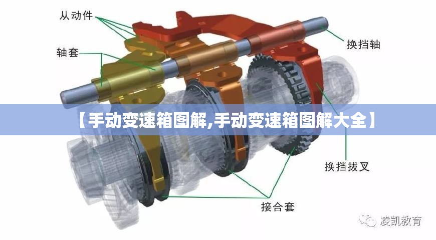 【手动变速箱图解,手动变速箱图解大全】