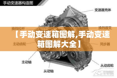 【手动变速箱图解,手动变速箱图解大全】