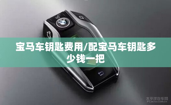 宝马车钥匙费用/配宝马车钥匙多少钱一把 宝马车钥匙费用/配宝马车钥匙多少钱一把