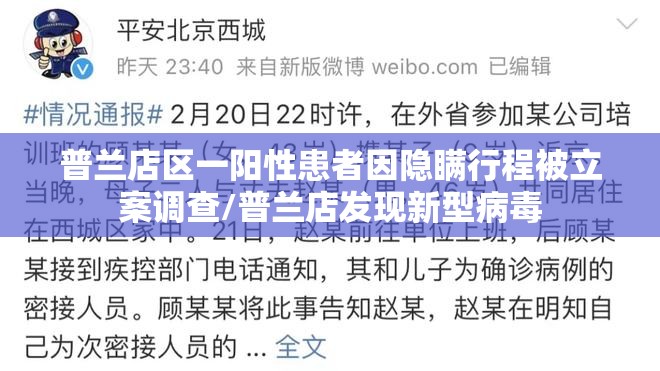 普兰店区一阳性患者因隐瞒行程被立案调查/普兰店发现新型病毒 普兰店区一阳性患者因隐瞒行程被立案调查/普兰店发现新型病毒