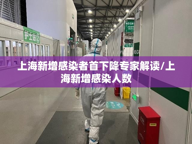 上海新增感染者首下降专家解读/上海新增感染人数 上海新增感染者首下降专家解读/上海新增感染人数
