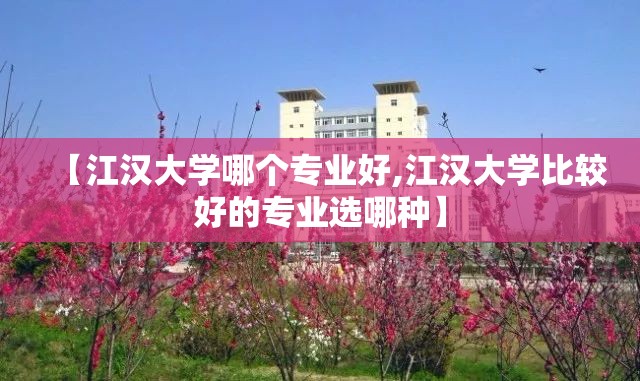 【江汉大学哪个专业好,江汉大学比较好的专业选哪种】 【江汉大学哪个专业好,江汉大学比较好的专业选哪种】