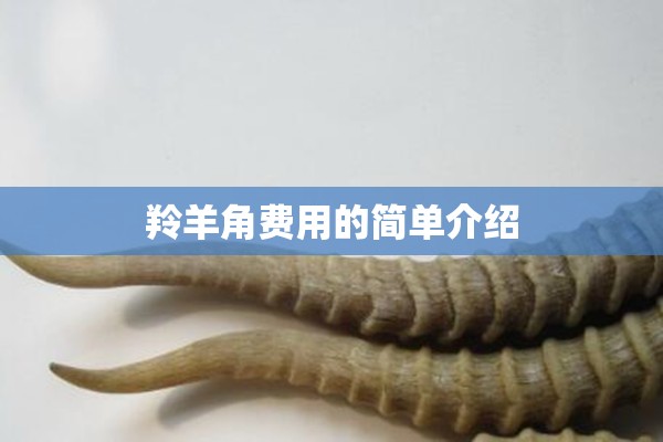 羚羊角费用的简单介绍