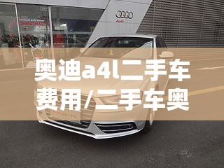 奥迪a4l二手车费用/二手车奥迪a6l报价及图片