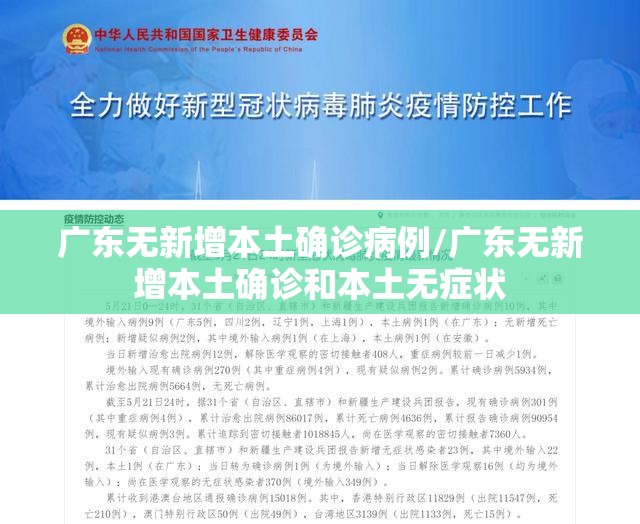 广东无新增本土确诊病例/广东无新增本土确诊和本土无症状 广东无新增本土确诊病例/广东无新增本土确诊和本土无症状