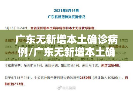 广东无新增本土确诊病例/广东无新增本土确诊和本土无症状 广东无新增本土确诊病例/广东无新增本土确诊和本土无症状
