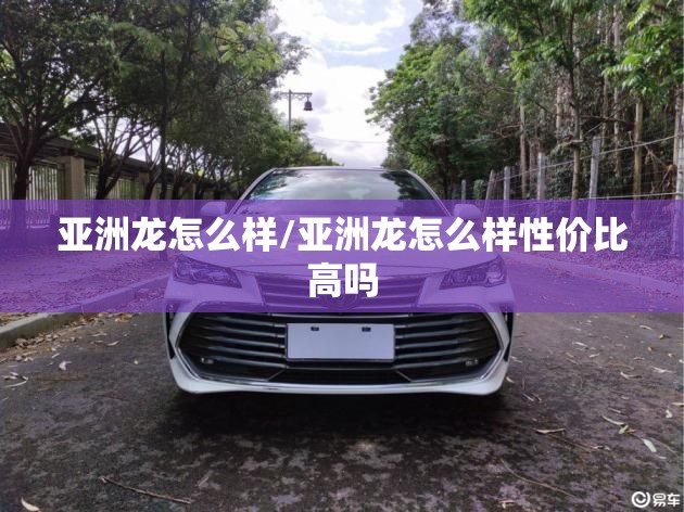 亚洲龙怎么样/亚洲龙怎么样性价比高吗