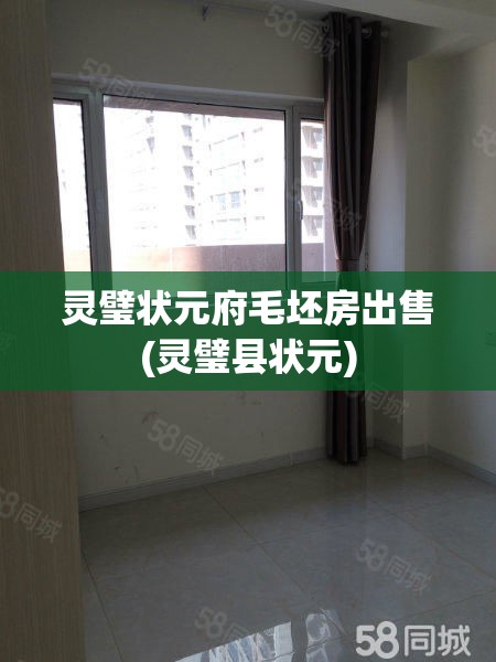灵璧状元府毛坯房出售(灵璧县状元) 灵璧状元府毛坯房出售(灵璧县状元)