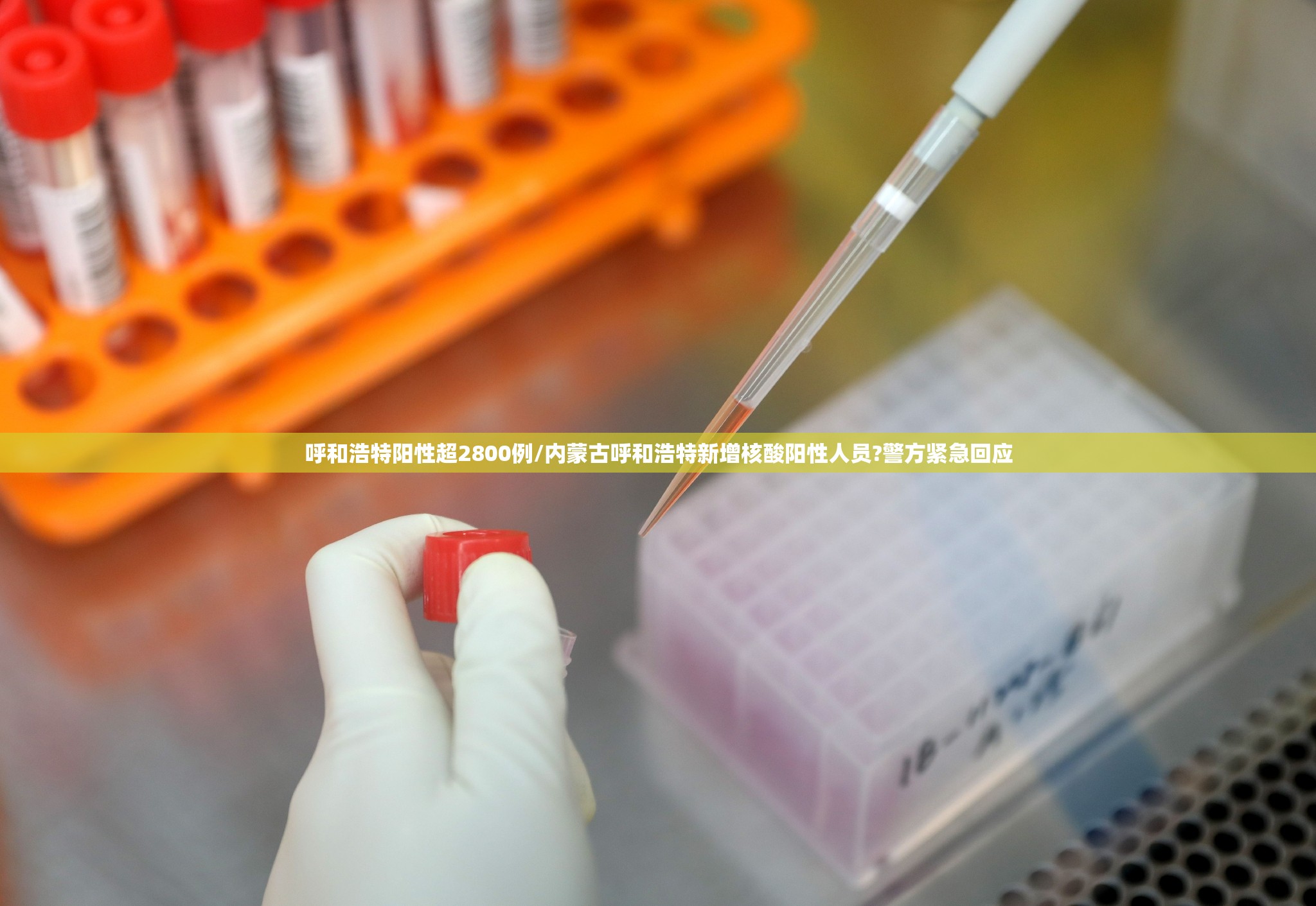 呼和浩特阳性超2800例/内蒙古呼和浩特新增核酸阳性人员?警方紧急回应 呼和浩特阳性超2800例/内蒙古呼和浩特新增核酸阳性人员?警方紧急回应