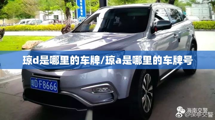 琼d是哪里的车牌/琼a是哪里的车牌号