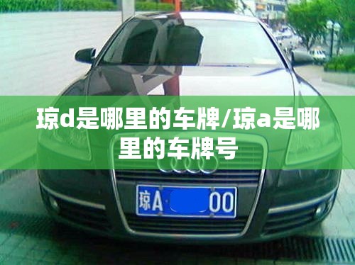 琼d是哪里的车牌/琼a是哪里的车牌号
