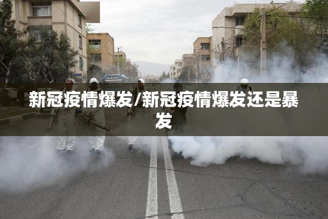 新冠疫情爆发/新冠疫情爆发还是暴发