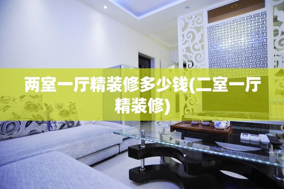两室一厅精装修多少钱(二室一厅精装修)