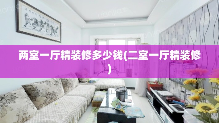 两室一厅精装修多少钱(二室一厅精装修)