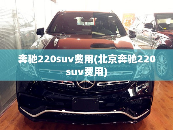 奔驰220suv费用(北京奔驰220suv费用) 奔驰220suv费用(北京奔驰220suv费用)