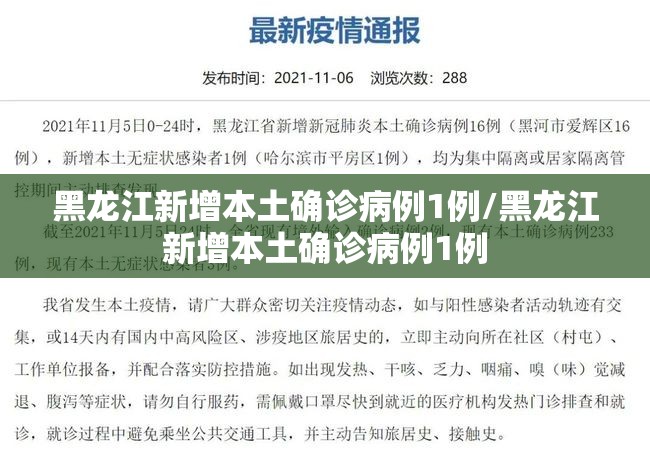 黑龙江新增本土确诊病例1例/黑龙江新增本土确诊病例1例 黑龙江新增本土确诊病例1例/黑龙江新增本土确诊病例1例