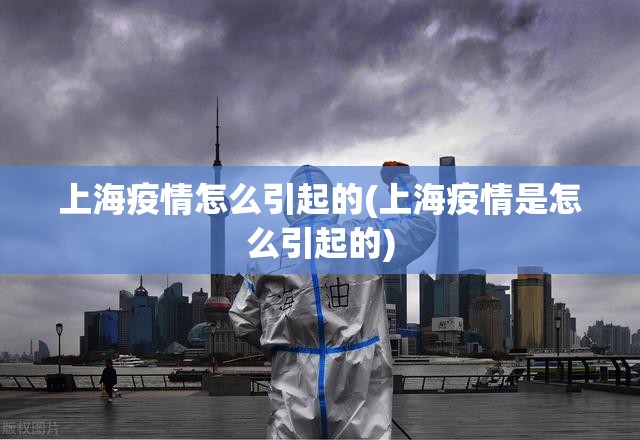 上海疫情怎么引起的(上海疫情是怎么引起的) 上海疫情怎么引起的(上海疫情是怎么引起的)