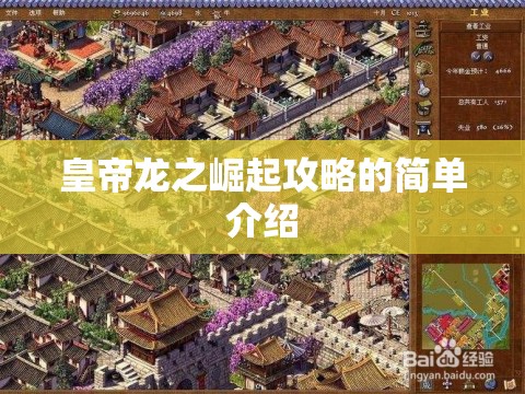 皇帝龙之崛起攻略的简单介绍