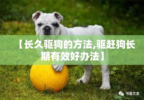 【长久驱狗的方法,驱赶狗长期有效好办法】
