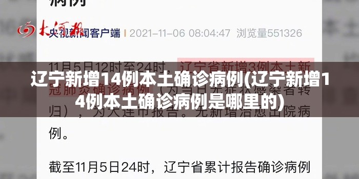 辽宁新增14例本土确诊病例(辽宁新增14例本土确诊病例是哪里的) 辽宁新增14例本土确诊病例(辽宁新增14例本土确诊病例是哪里的)