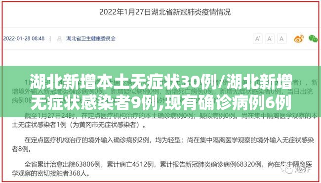 湖北新增本土无症状30例/湖北新增无症状感染者9例,现有确诊病例6例 湖北新增本土无症状30例/湖北新增无症状感染者9例,现有确诊病例6例