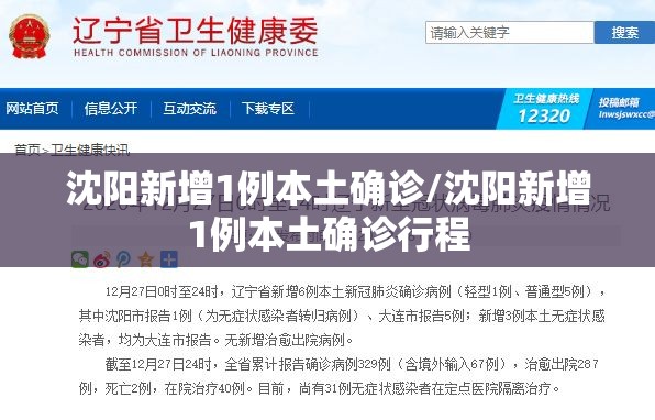 沈阳新增1例本土确诊/沈阳新增1例本土确诊行程