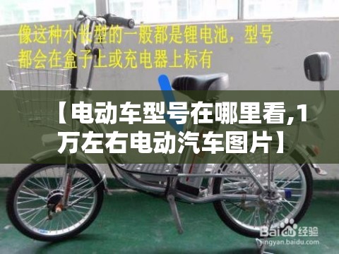 【电动车型号在哪里看,1万左右电动汽车图片】 【电动车型号在哪里看,1万左右电动汽车图片】