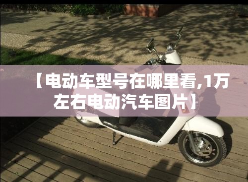 【电动车型号在哪里看,1万左右电动汽车图片】 【电动车型号在哪里看,1万左右电动汽车图片】