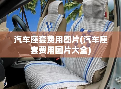 汽车座套费用图片(汽车座套费用图片大全) 汽车座套费用图片(汽车座套费用图片大全)