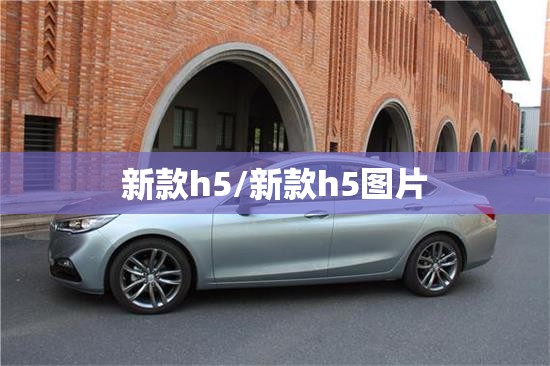 新款h5/新款h5图片