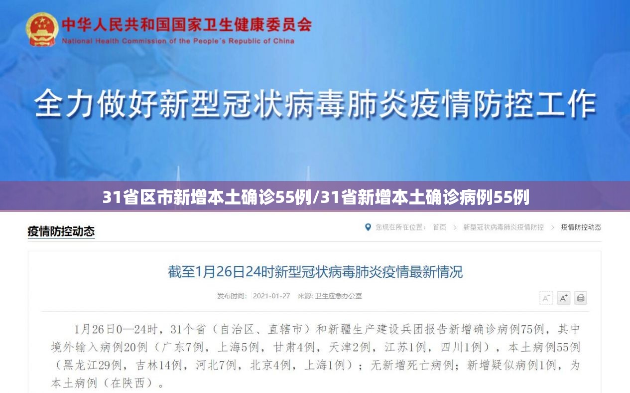 31省区市新增本土确诊55例/31省新增本土确诊病例55例 31省区市新增本土确诊55例/31省新增本土确诊病例55例
