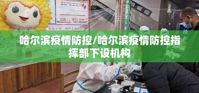 哈尔滨疫情防控/哈尔滨疫情防控指挥部下设机构 哈尔滨疫情防控/哈尔滨疫情防控指挥部下设机构