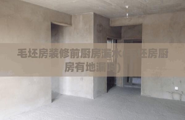 毛坯房装修前厨房漏水(毛坯房厨房有地漏吗) 毛坯房装修前厨房漏水(毛坯房厨房有地漏吗)