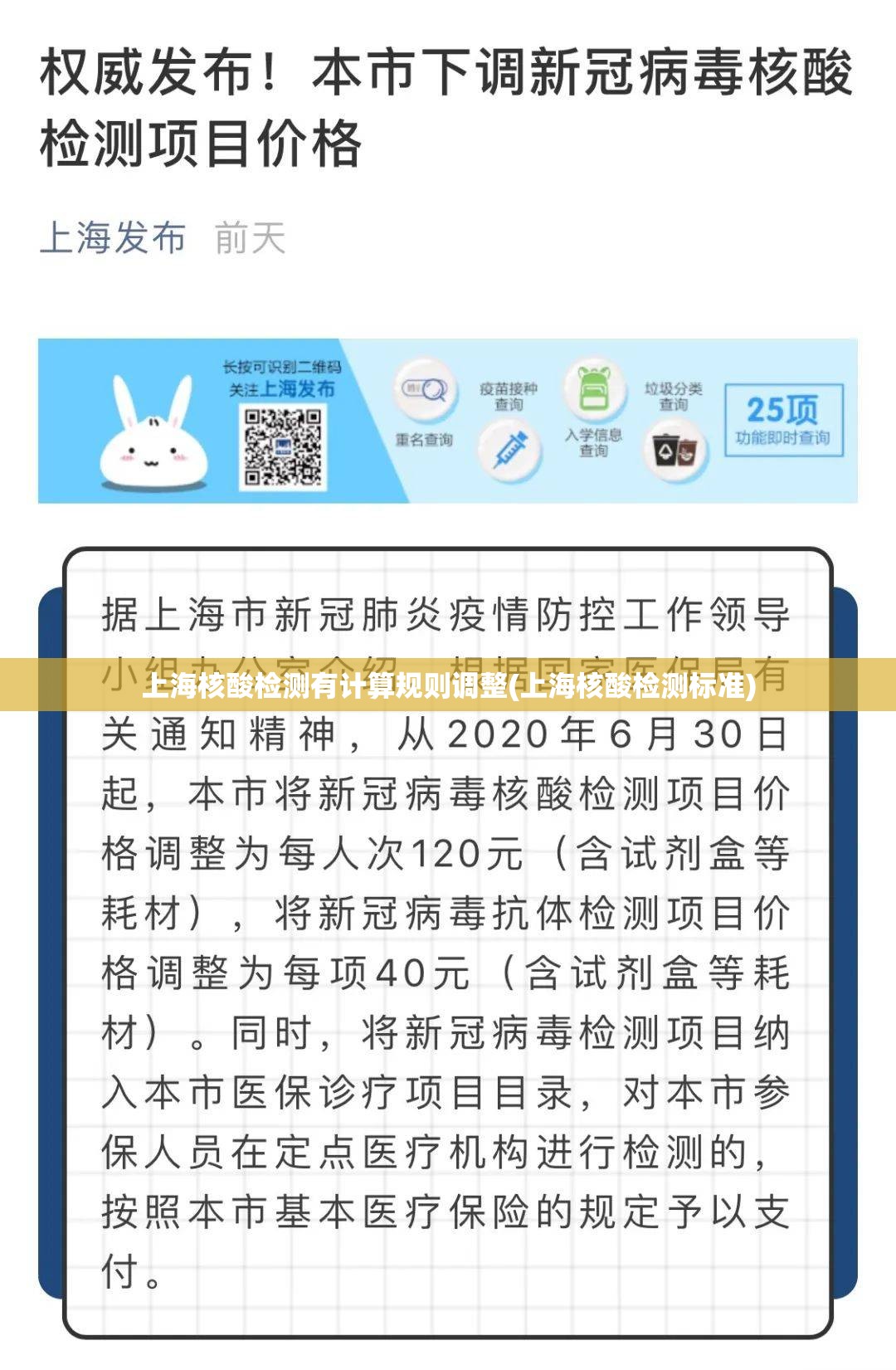 上海核酸检测有计算规则调整(上海核酸检测标准)