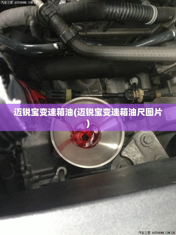 迈锐宝变速箱油(迈锐宝变速箱油尺图片) 迈锐宝变速箱油(迈锐宝变速箱油尺图片)