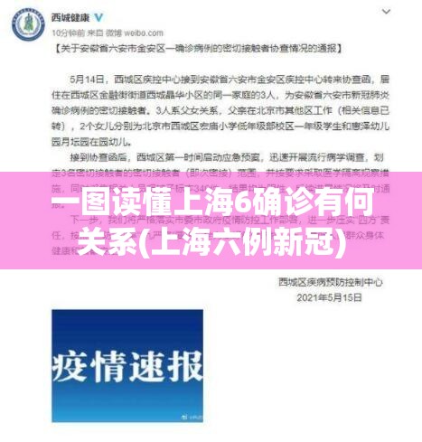 一图读懂上海6确诊有何关系(上海六例新冠) 一图读懂上海6确诊有何关系(上海六例新冠)