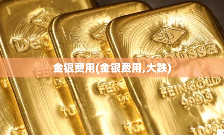 金银费用(金银费用,大跌) 金银费用(金银费用,大跌)