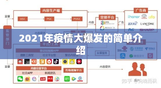 2021年疫情大爆发的简单介绍