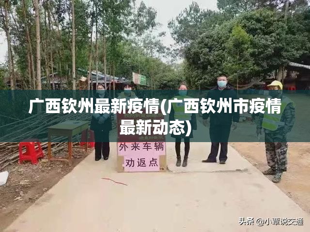 广西钦州最新疫情(广西钦州市疫情最新动态) 广西钦州最新疫情(广西钦州市疫情最新动态)