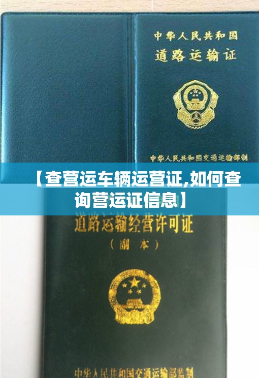 【查营运车辆运营证,如何查询营运证信息】 【查营运车辆运营证,如何查询营运证信息】