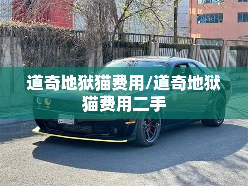 道奇地狱猫费用/道奇地狱猫费用二手 道奇地狱猫费用/道奇地狱猫费用二手