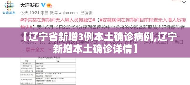 【辽宁省新增3例本土确诊病例,辽宁新增本土确诊详情】 【辽宁省新增3例本土确诊病例,辽宁新增本土确诊详情】