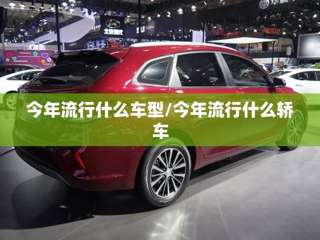 今年流行什么车型/今年流行什么轿车 今年流行什么车型/今年流行什么轿车