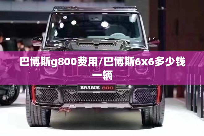 巴博斯g800费用/巴博斯6x6多少钱一辆 巴博斯g800费用/巴博斯6x6多少钱一辆