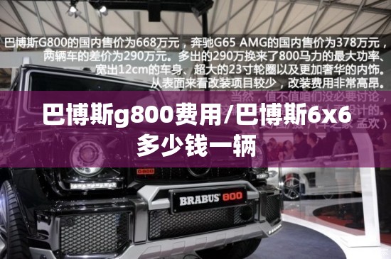巴博斯g800费用/巴博斯6x6多少钱一辆 巴博斯g800费用/巴博斯6x6多少钱一辆