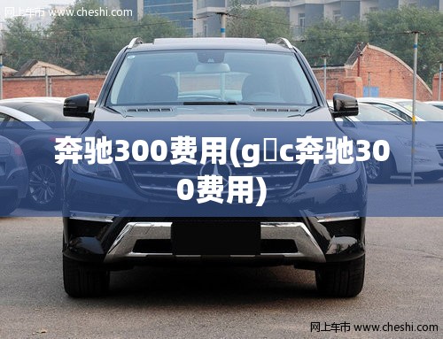 奔驰300费用(g乚c奔驰300费用)