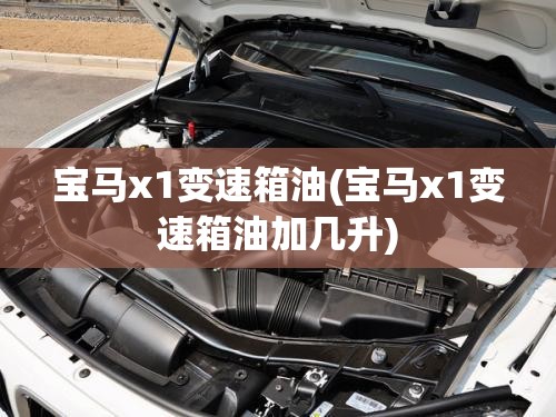 宝马x1变速箱油(宝马x1变速箱油加几升) 宝马x1变速箱油(宝马x1变速箱油加几升)
